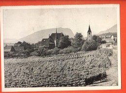 GAL-15 Auvernier Et La Trouée De Bourgogne.  Non Circulé. Grand Format - Auvernier