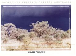 (615) Australia - With Stamp At Back - Gidgee  Country - Outback