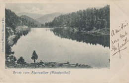 Gruss Vom Altenweiher - ( Münsterthal )  - 1901 - Münstertal