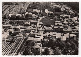 38-CHANAS- Vue  Aérienne - Cpsm - Chanas