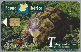 ES.- Telefonica De Espana. CabiTel. Tortuga Mediterranea. Testudo Hermanni. Schilpad. Fauna Iberica. 2 Scans - Tortues