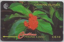 CAYMAN ISLANDS - BROADLEAR FLOWER - 94CCIB - Iles Cayman