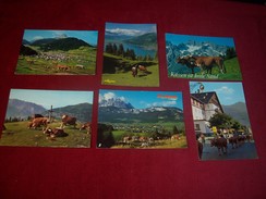 LOT DE 6 CARTES POSTALES  D'AUTRICHE  OSTERREICH  THEME LES VACHES   TOUS AVEC TIMBRE REF 4102 - Collections