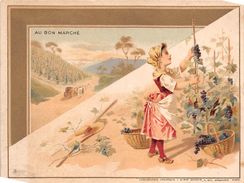 ILLUSTRATEUR  -  Vignes , Vendange , Raisins  - Publicité " Au Bon Marché " - Chasse