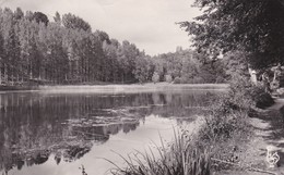 Jallieu Etang De Rosier - Jallieu