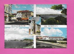 CPSM 11 SIGEAN - MULTI VUES - VUE SUR LA FACADE DU MIDI LIBRE - ET VUES SUR LA MER - - Sigean