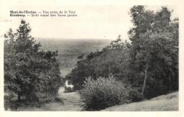 BELGIQUE - HAINAUT - MONT-DE-L'ENCLUS - KLUISBERG - Vue Prise De La Tour - Zicht Vanaf Den Toren Gezien. - Mont-de-l'Enclus