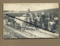 CPA - Scènes Champêtres  - Les Vendanges  ( Attelage , Bœufs , Vaches , Vignes , Vignerons  )- - Wijnbouw