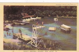 Florida Silver Springs Electric Glass Bottom Boats Dexter Press - Silver Springs
