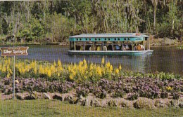 Florida Silver Springs Glass Bottom Boat - Silver Springs