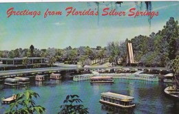 Florida Silver Springs Administration Building And Boat Docks - Silver Springs