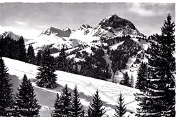 Gstaad Aufstieg Eggli Gegen Rüblihorn - Gstaad