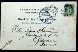 Norway 1902 Cards To Denmark     ( Lot 2151 ) - Brieven En Documenten