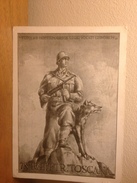 Cartolina  78° Reggimento Fanteria Toscana Viaggiata 1952 - Reggimenti