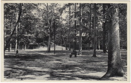 Doorn - Yskelderbosch - 1938 - (Utrecht, Nederland) - Doorn