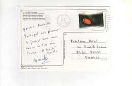 Beau Timbre " Poisson Garibaldi " Sur Carte , Postcard Du 19/05/2004 - Storia Postale