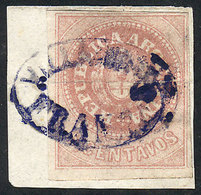 ARGENTINA: GJ.10, 5c. Rose, On Fragment With The Very Rare Small Oval Cancel Of "V - Unused Stamps