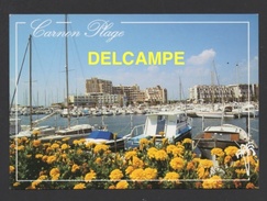 DF / 34 HERAULT / MAUGUIO-CARNON / CARNON PLAGE / LE PORT - Mauguio