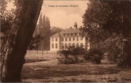 ! Lot Of 8 Postcards Chateau De Schiplaeken, Brabant, Belgien, Belgium, Adel, Royalty, Schloß, Autographs - Altri & Non Classificati