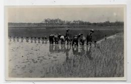 CPA Indonésie Asie Indonésia Inde Hollandaise Non Circulé Carte Photo Types Métier - Indonesië