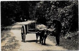 CPA Indonésie Asie Indonésia Inde Hollandaise écrite Carte Photo Types Métier - Indonesië