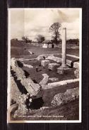 394d * ST.ALBANS * VERULAMIUM * THE ROMAN THEATRE  **!! - Herefordshire