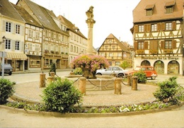 Molsheim (Bas-Rhin) - Place De L'Hôtel De Ville Et Fontaine Monumentale, Pharmacie - Carte Europe Non Circulée - Molsheim