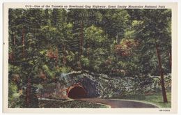 USA, Great Smoky Mountains National Park TN, Newfound Gap Highway Road Tunnel, 1940s Unused Tennessee Vintage Postcard - Smokey Mountains
