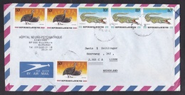 Burundi: Airmail Cover To Netherlands, 6 Stamps, Crocodile, Fowl Bird, Rare Real Use (minor Damage, See Scan) - Andere & Zonder Classificatie