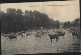 CPA St Saint Benoit Vienne La Prairie Du Moulin Service De La Guerre 1914 Bovins Voyagée 1915 - Saint Benoît