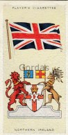 Player's Cigarettes Card - 35x65mm - Heraldry - Flag - Northern Ireland - Autres & Non Classés