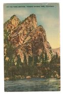 USA THE THREE BROTHERS YOSEMITE NATIONAL PARK CALIFORNIA - NATURE TONE VIEWS N° Y 17 - NON CIRCULÉE - 2 Scans - - Yosemite