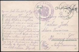 1915 Tábori Posta Képeslap 'K.K. LANDSTURMINFANTERIEREGIMENT LEITMERITZ No.9.' - Autres & Non Classés