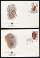 1989 WWF: Orangután Sor 4 Db FDC-n Mi 1291-1294 - Andere & Zonder Classificatie