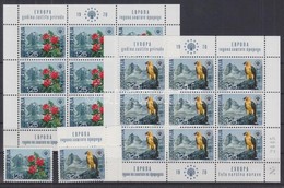 ** 1970 A Természet éve Európában Sor + Kisívsor Mi 1406-1407 - Other & Unclassified