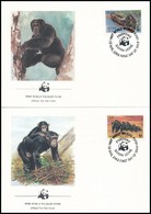 1983 WWF Csimpánzok Sor  4 FDC-n Mi 713-716 - Autres & Non Classés