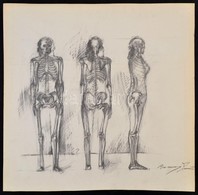 Barcsay Jelzéssel: Csontváz Tanulmány. Szén, Papír, 50×50 Cm - Autres & Non Classés