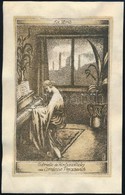 Olvashatatlan Jelzéssel: Ex Libris Gabrielle De Kochanovszky, Rézkarc, Papír, 14×9 Cm - Autres & Non Classés
