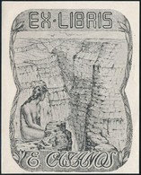 Cca 1930 Ex Libris E. Castanos. Erotikus Ex Libris. Klisé. Jelzés Nélkül. 120x80 Mm - Otros & Sin Clasificación