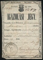 1861 Óhadászi Marhahajtó Igazolási Jegye / Id For Althodis Peasant - Sin Clasificación