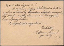 1936 Hoffmann Sándor (1899-1992) Kossuth-díjas Vegyészmérnök Saját Kézzel írt Levele - Sin Clasificación