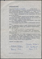 Cca 1960 A Veszprém Városában Fölállítandó Magyar Rajzművészeti Múzeum Számára Készült Ajándékozási Levél  Csohány Kálmá - Non Classés