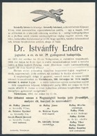 1916 Dr. Istvánffy Endre (1890-1916) Jogász. Cs. és Kir. 29. Gyalogezred Hadapródjának Halálozási értesítője, Törökbecse - Autres & Non Classés