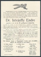 1916 Dr. Istvánffy Endre (1890-1916) Jogász. Cs. és Kir. 29. Gyalogezred Hadapródjának Halálozási értesítője, Törökbecse - Otros & Sin Clasificación