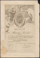 1914 A Hadsegélyező Hivatal által Kiadott Személyre Szóló Emléklap Azoknak, Akik A Honvédelmi Harcban Elesett Hősök özve - Autres & Non Classés