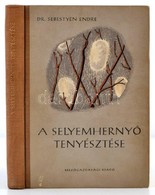 Sebestyén Endre: A Selyemhernyó Tenyésztése. Bp.,1957, Mezőgazdasági Kiadó, Kossuth Nyomda. Szövegközti és Egészoldalas  - Sin Clasificación