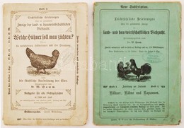 Anleitung Zur Aufzucht Der Hühner, Hähne Und Kapaunen: Aufzucht, Vermehrung Und Mästung In Stadt Und Land, Sowie über Hü - Non Classificati