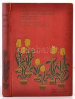 Gárdonyi Géza: Az én Falum. I. Kötet. Egy Tanító Följegyzései. Bp.,1908, Singer és Wolfner. Negyedik Kiadás. Kiadói Fest - Non Classificati