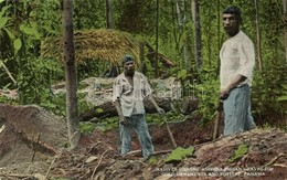 ** T1/T2 Panama City, Natives Digging Ancient Indian Graves For Gold Ornaments And Pottery - Non Classés