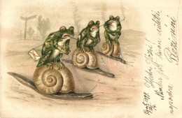 T2/T3 1899 Frogs Riding Snail-back, Humor. Litho (EK) - Non Classés